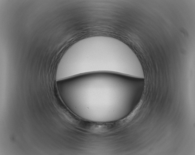 X0000113350174200909151033