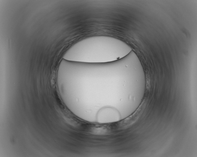 X0000113350175200909151033