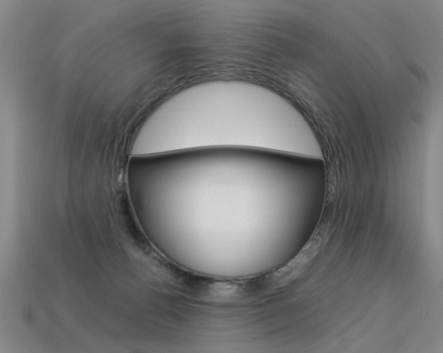 X0000113350176200909151033