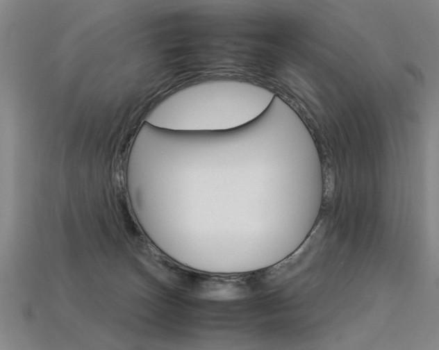 X0000113350179200909151033