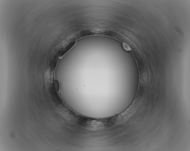 X0000113350180200909151033