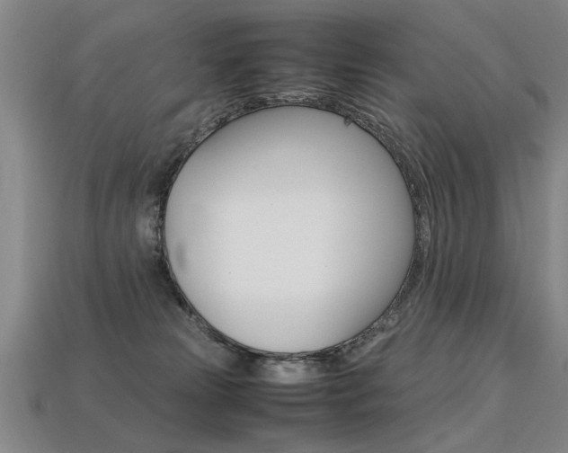 X0000113350181200909151033