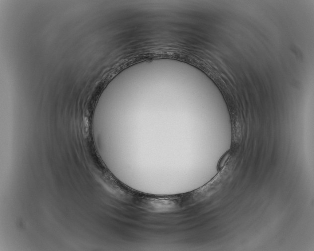 X0000113350183200909151033
