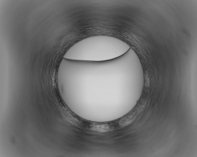 X0000113350185200909151033