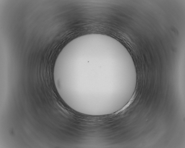 X0000113350186200909151033