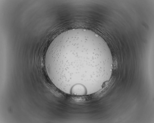 X0000113350187200909151033