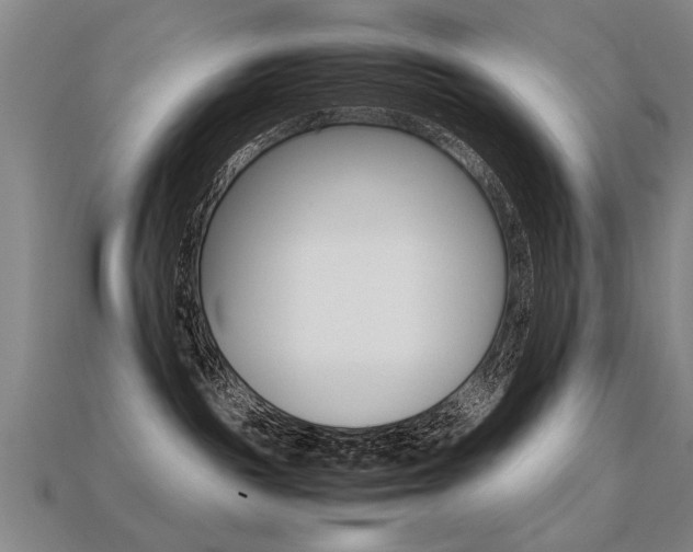X0000113350189200909151033