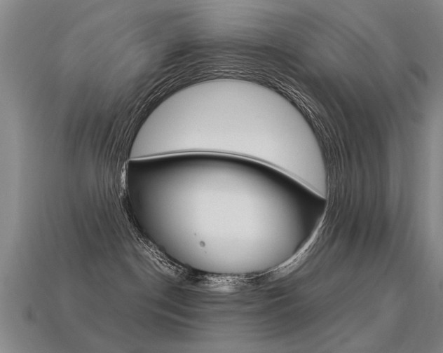 X0000113350190200909151033