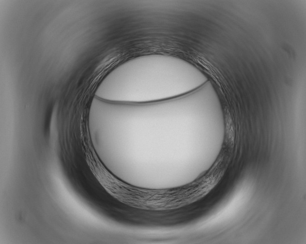 X0000113350191200909151033