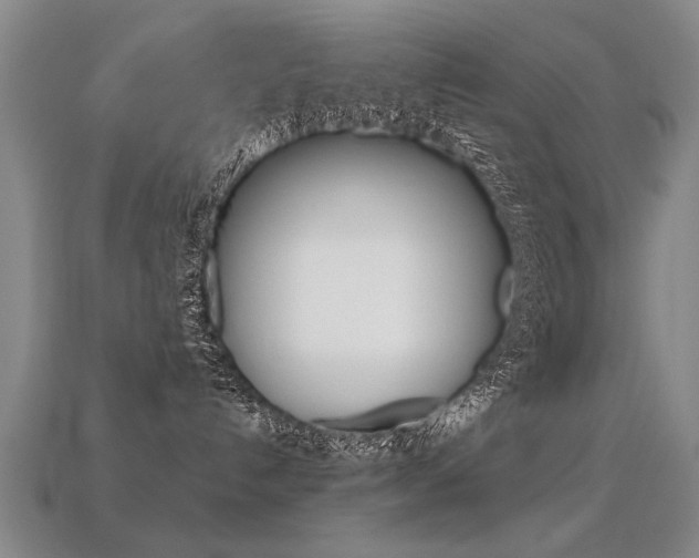 X0000113350192200909151033