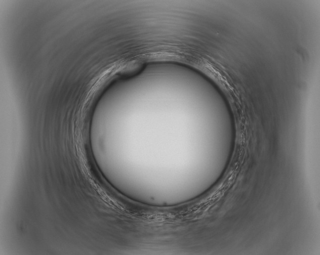 X0000113350193200909151033