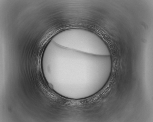 X0000113350194200909151033