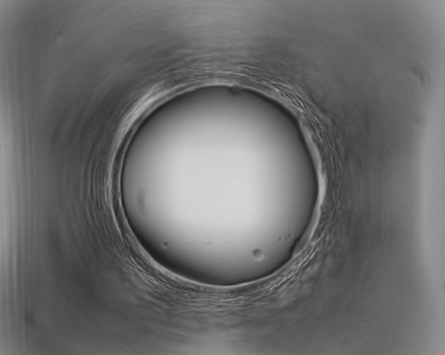 X0000113350195200909151033