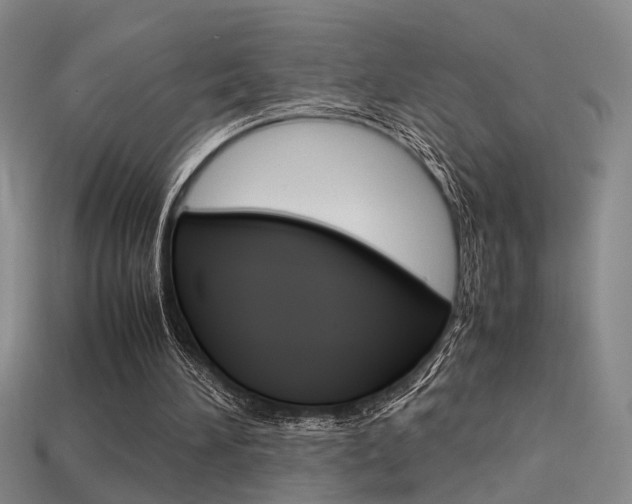 X0000113350196200909151033