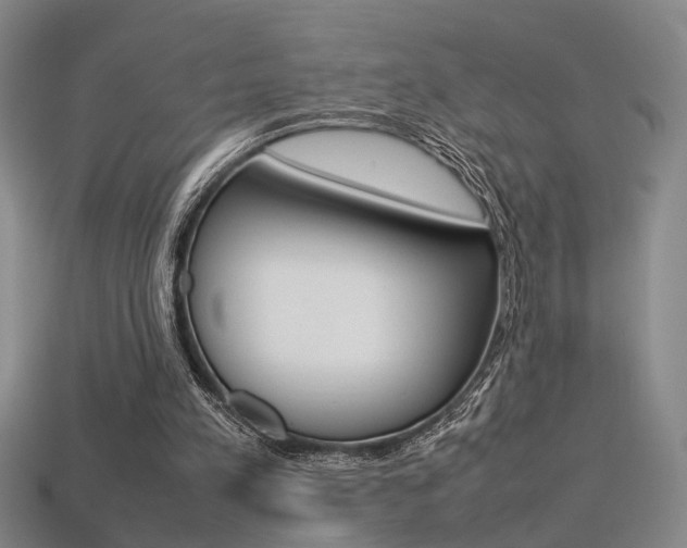 X0000113350197200909151033