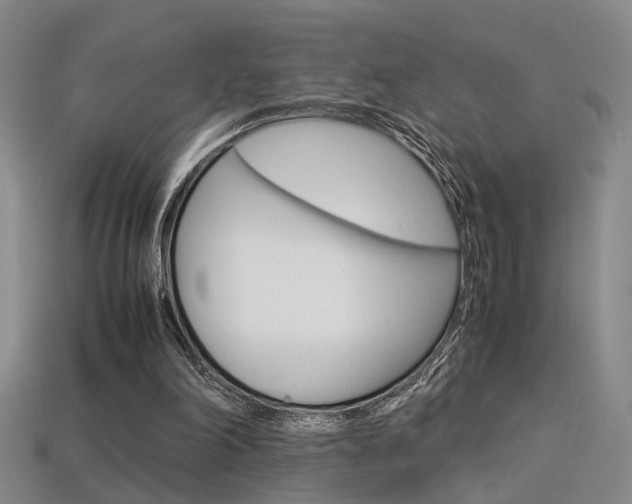 X0000113350198200909151033
