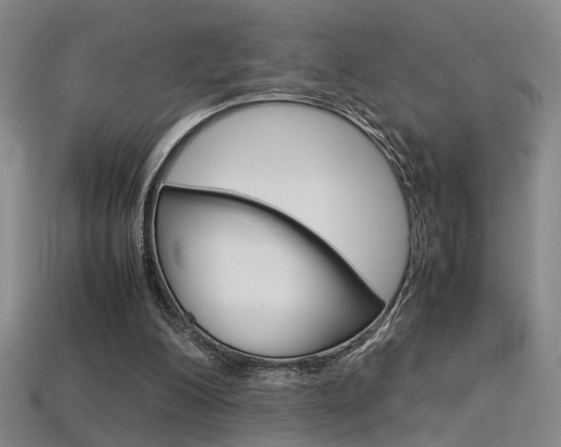 X0000113350200200909151033