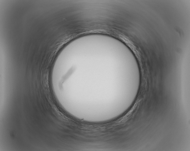 X0000113350201200909151033