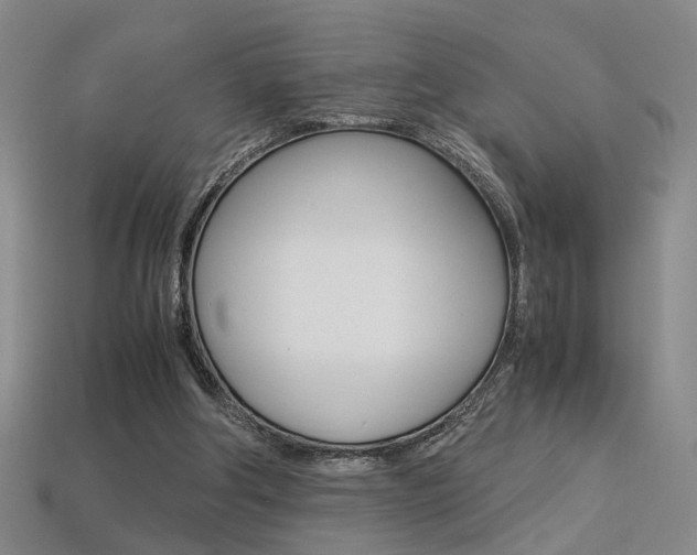 X0000113350202200909151033