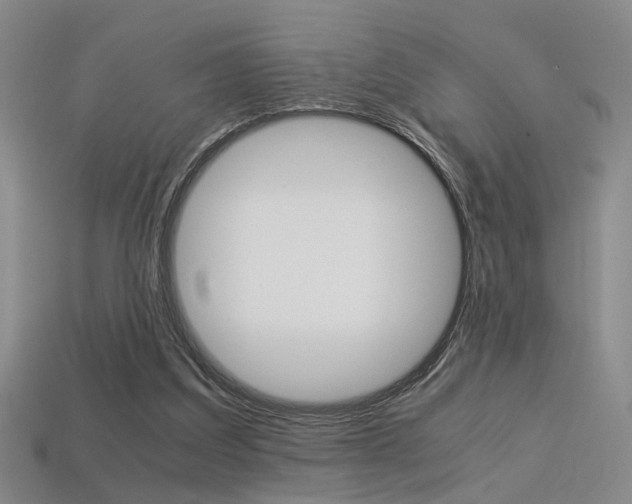 X0000113350203200909151033