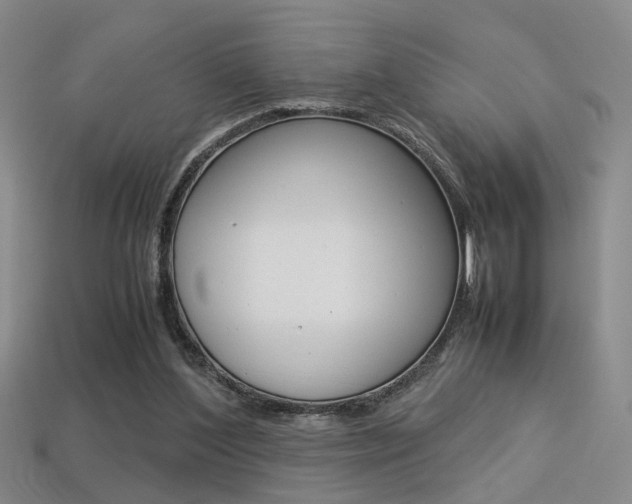X0000113350204200909151033