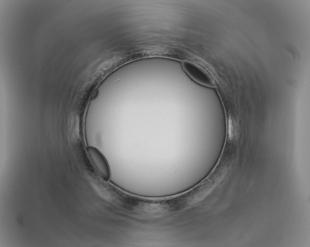 X0000113350205200909151033