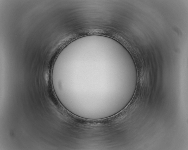 X0000113350206200909151033