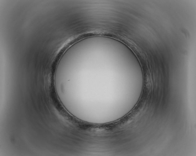 X0000113350208200909151032