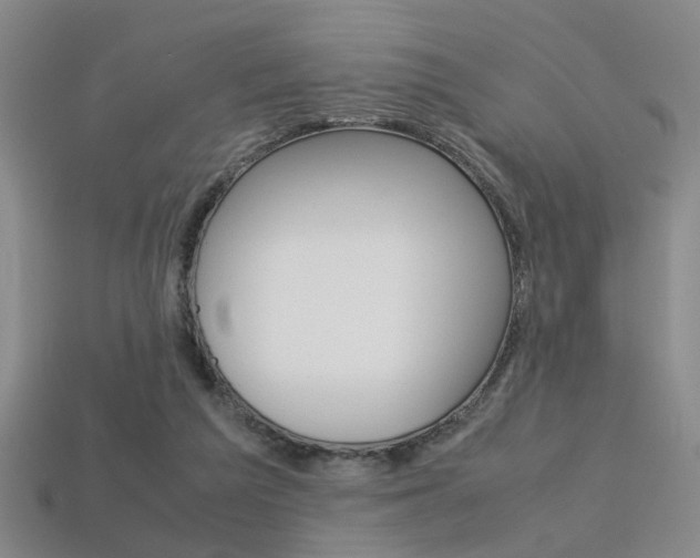 X0000113350209200909151032