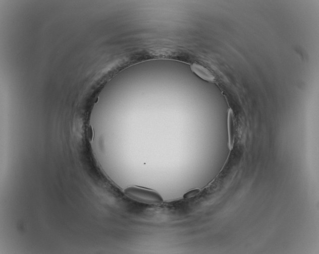 X0000113350211200909151032