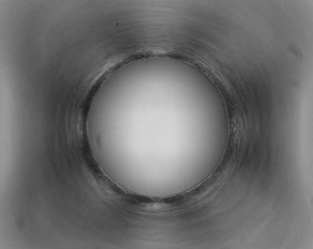 X0000113350212200909151032