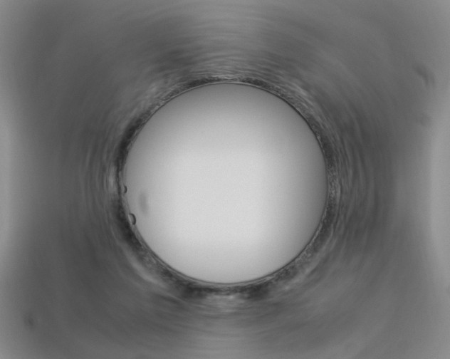 X0000113350213200909151032