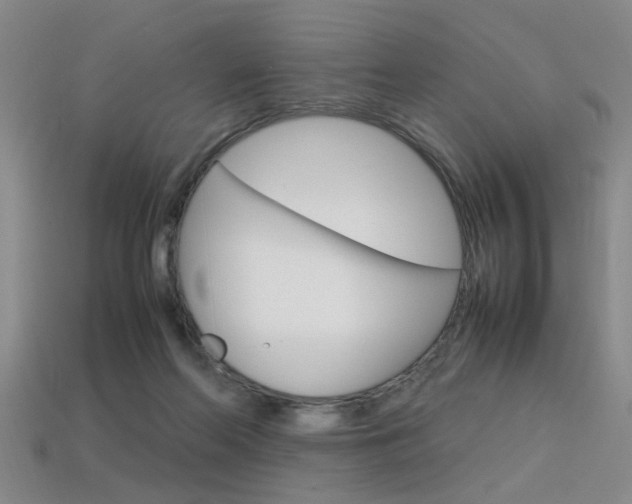 X0000113350214200909151032