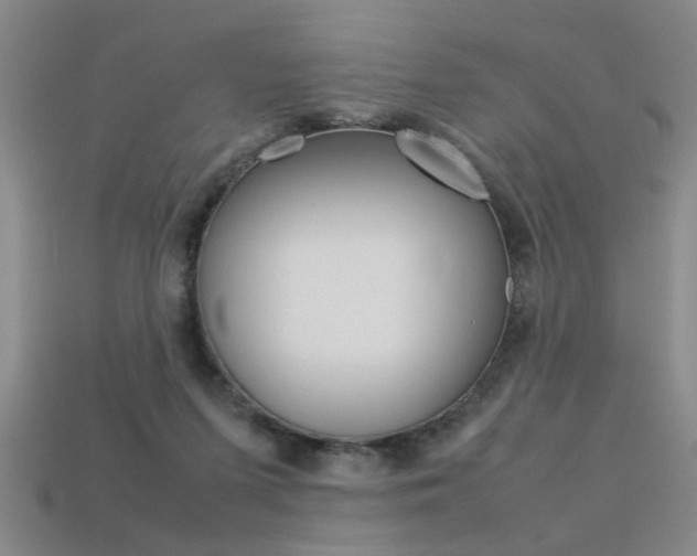 X0000113350215200909151032