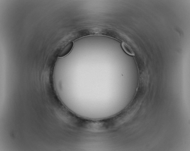X0000113350217200909151032