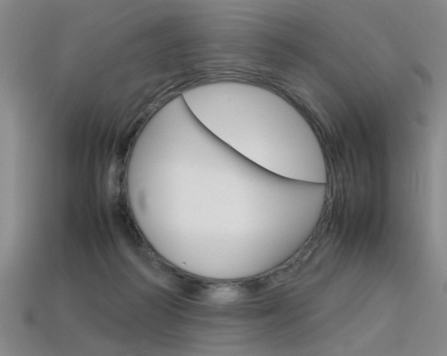 X0000113350218200909151032