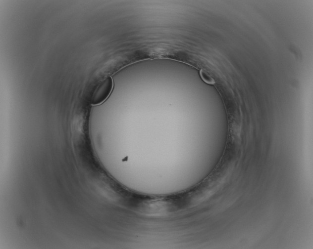 X0000113350219200909151032