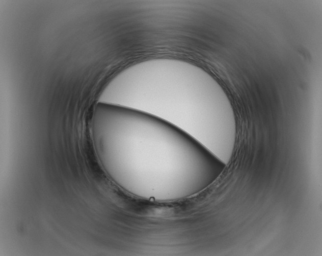 X0000113350220200909151032