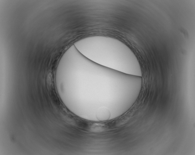 X0000113350222200909151032