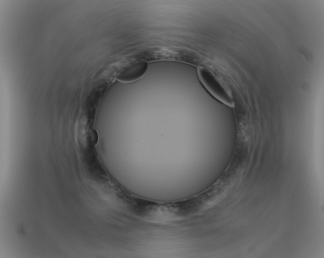 X0000113350223200909151032