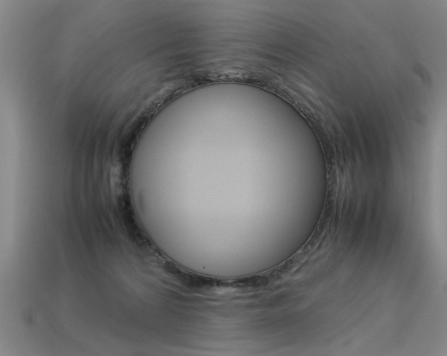 X0000113350224200909151032