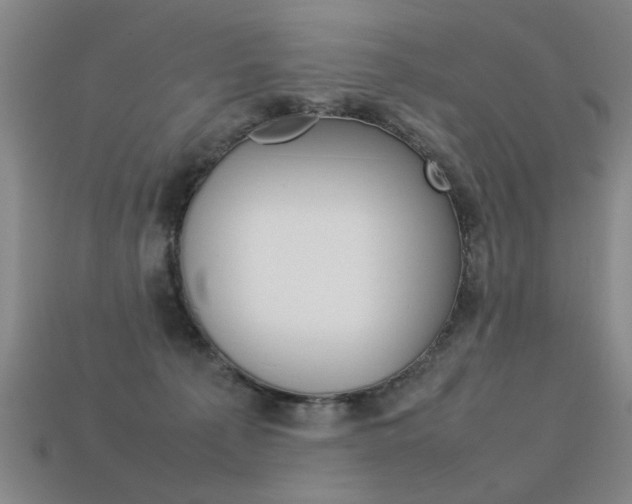 X0000113350225200909151032