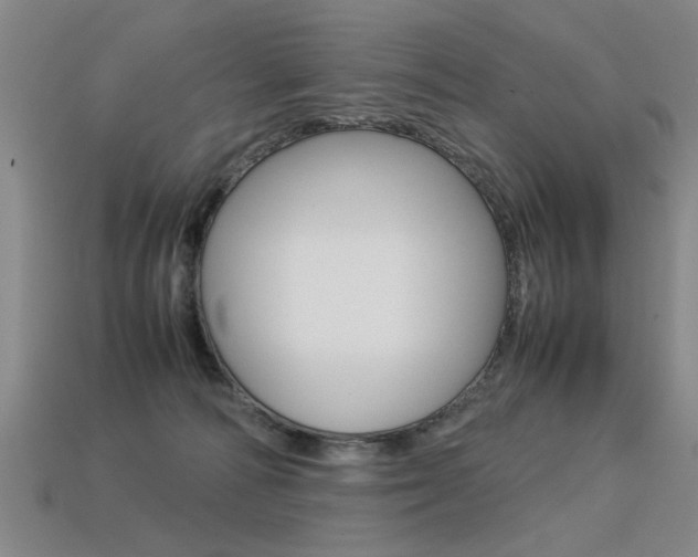 X0000113350226200909151032