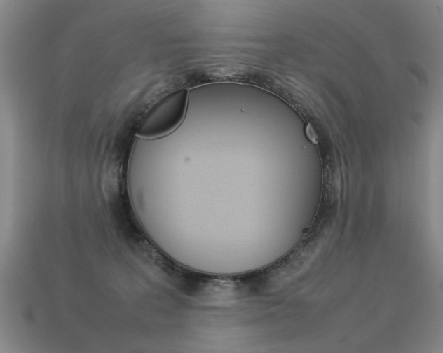 X0000113350227200909151032