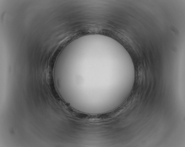 X0000113350228200909151032