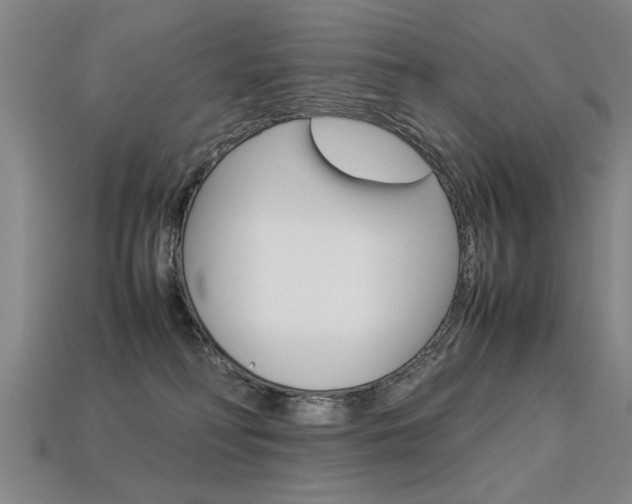 X0000113350230200909151032