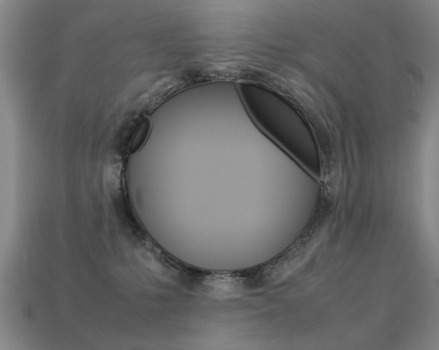 X0000113350231200909151032