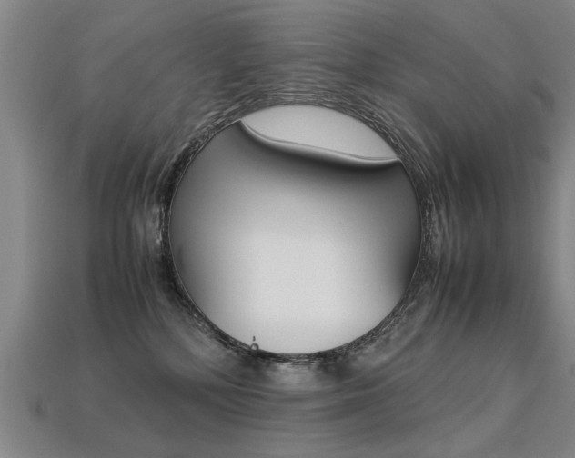 X0000113350232200909151032