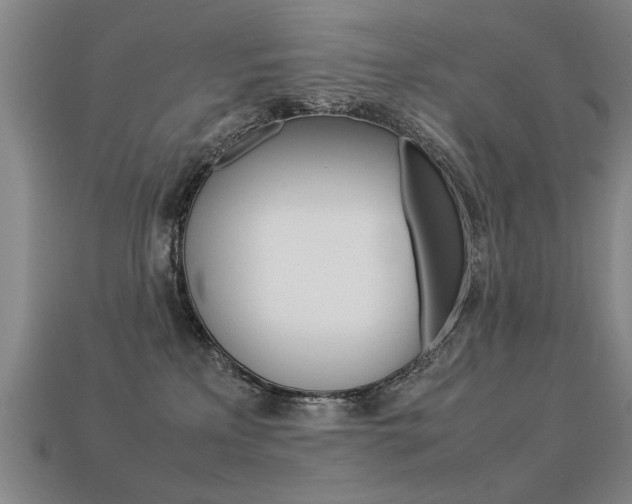 X0000113350233200909151032
