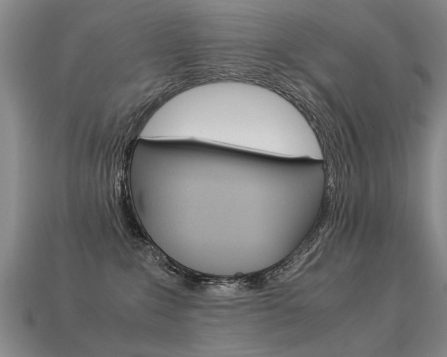 X0000113350235200909151032